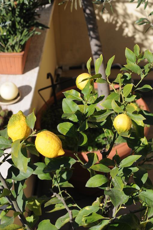 Aldebaran Bed & Breakfast Roma Dış mekan fotoğraf
